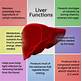 How To Help Liver Function